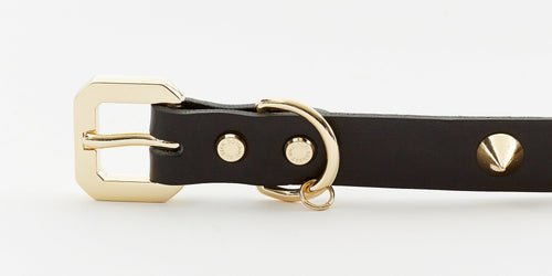 Golden Spike Leather Collar | Dogs | Stella & Bone - Stella & Bone