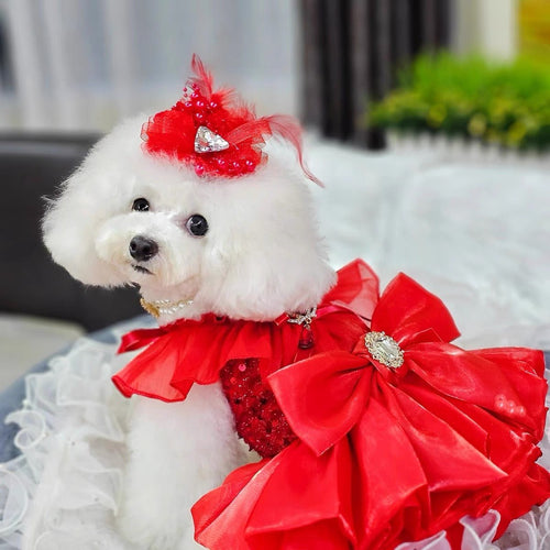 Crimson Ballgown Dog Dress | Layered Tulle Skirt | Stella & Bone