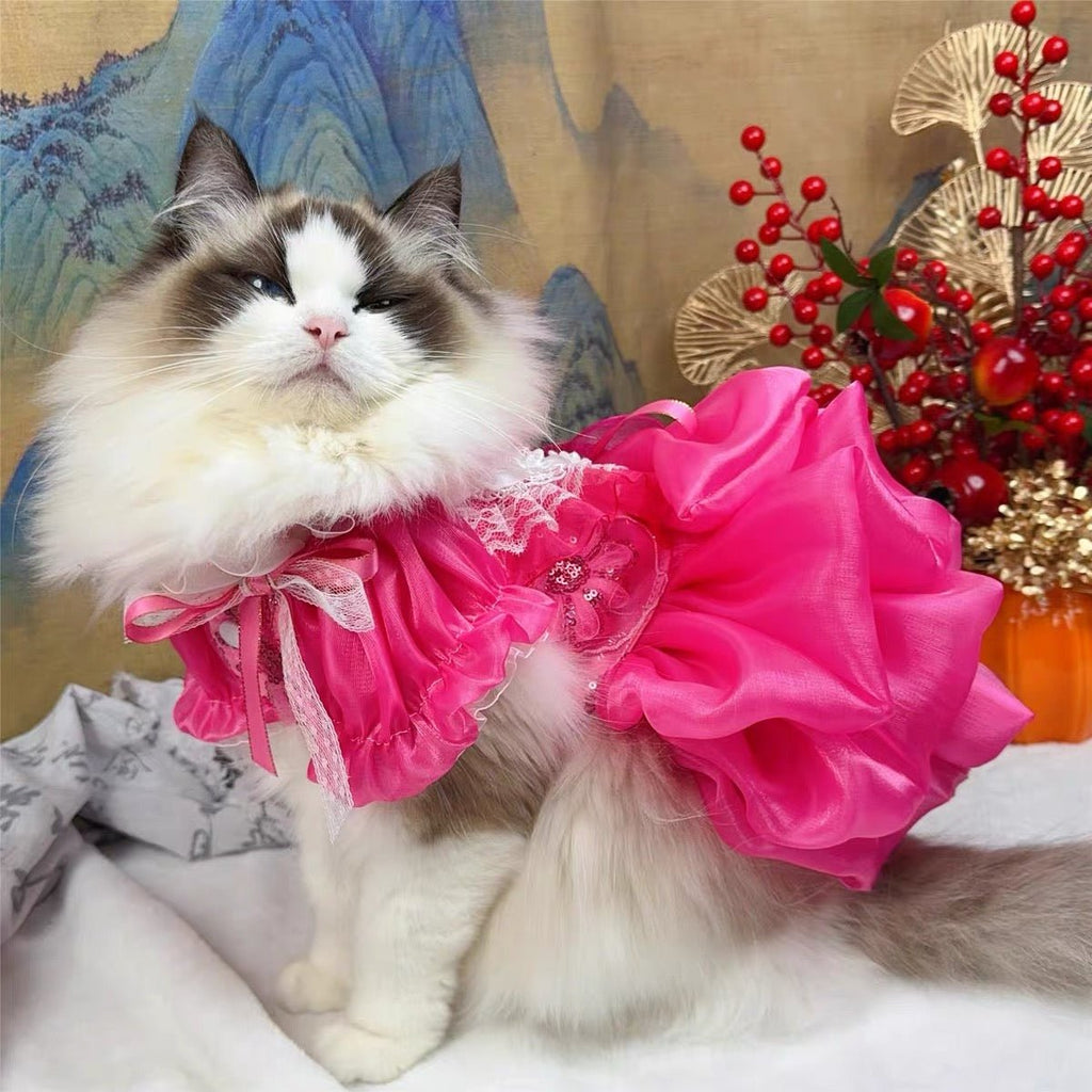Rose Lace Party Dress | Dogs & Cats | Stella & Bone