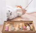 Luxury Cat Toy Set | Interactive Mice & Wand Toys | Whole Box | Stella & Bone - Stella & Bone