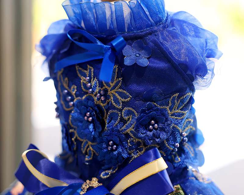 Royal Blue Blossom Dress | Dogs & Cats | Stella & Bone - Stella & Bone