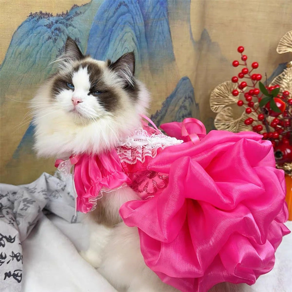 Rose Lace Party Dress | Dogs & Cats | Stella & Bone