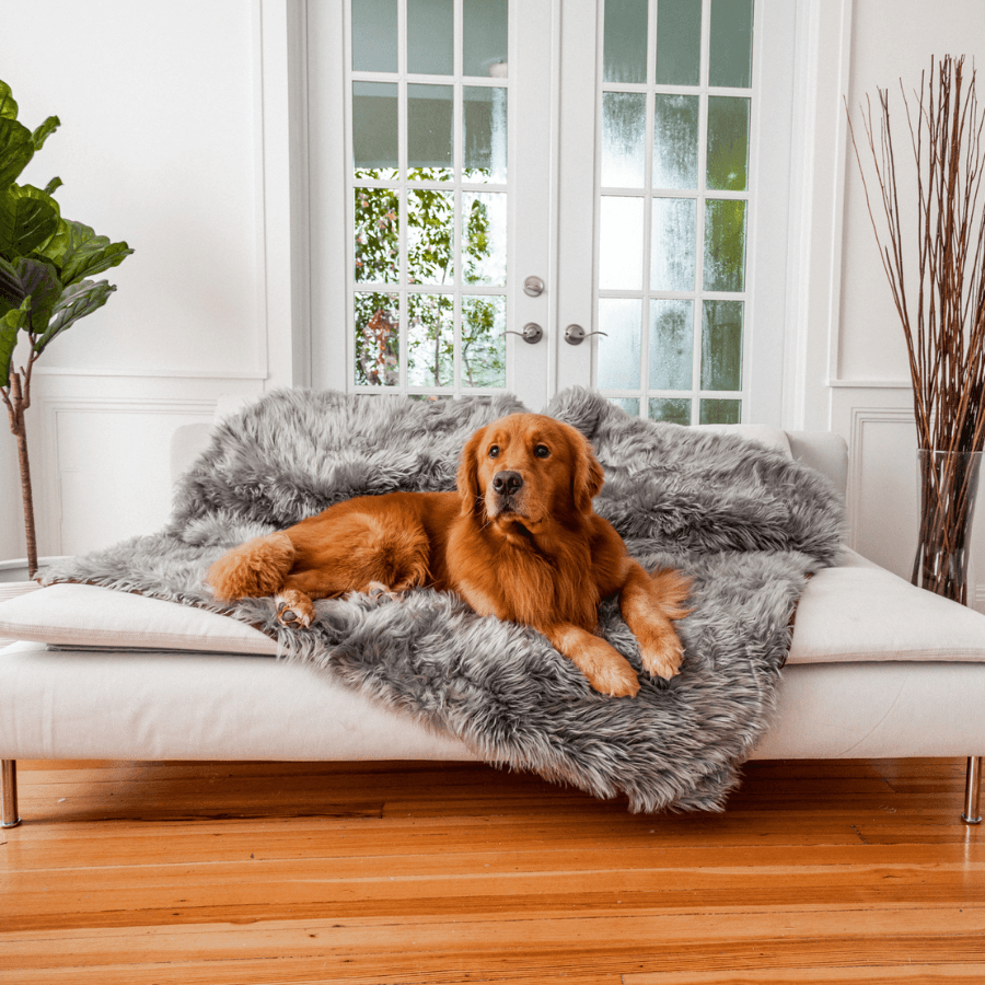 Waterproof Throw | Charcoal Grey | Dogs | Stella & Bone - Stella & Bone