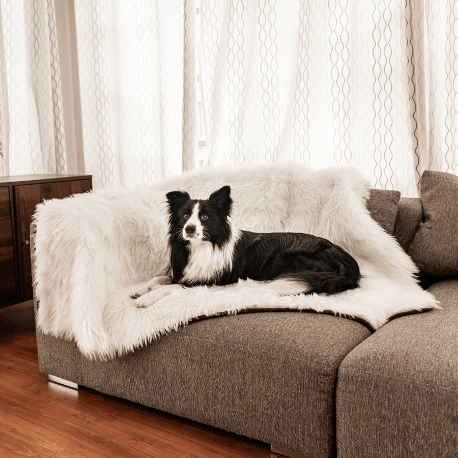 Waterproof Throw | Dogs | Stella & Bone - Stella & Bone
