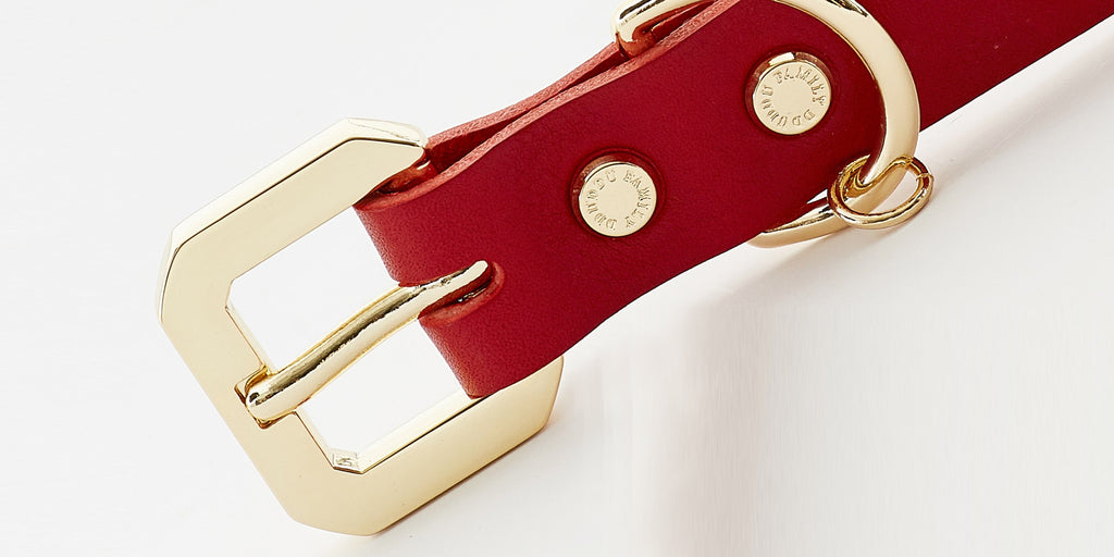 Golden Spike Leather Collar in Red | Dogs | Stella & Bone - Stella & Bone