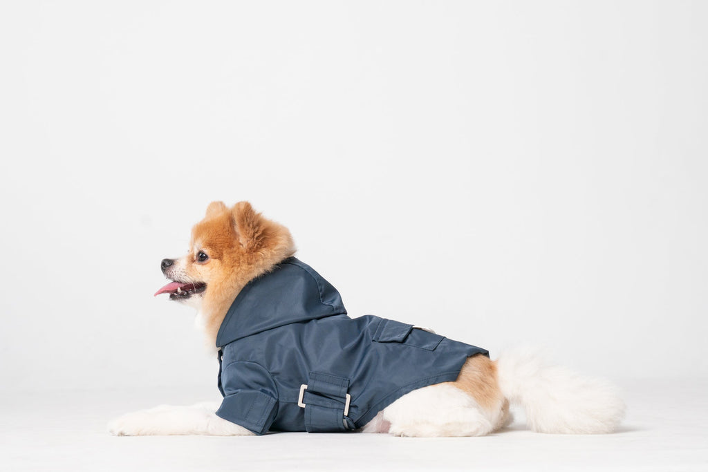 Blue Urban Rain Coat | Water - Repellant Dog Coat | Blue | Stella & Bone