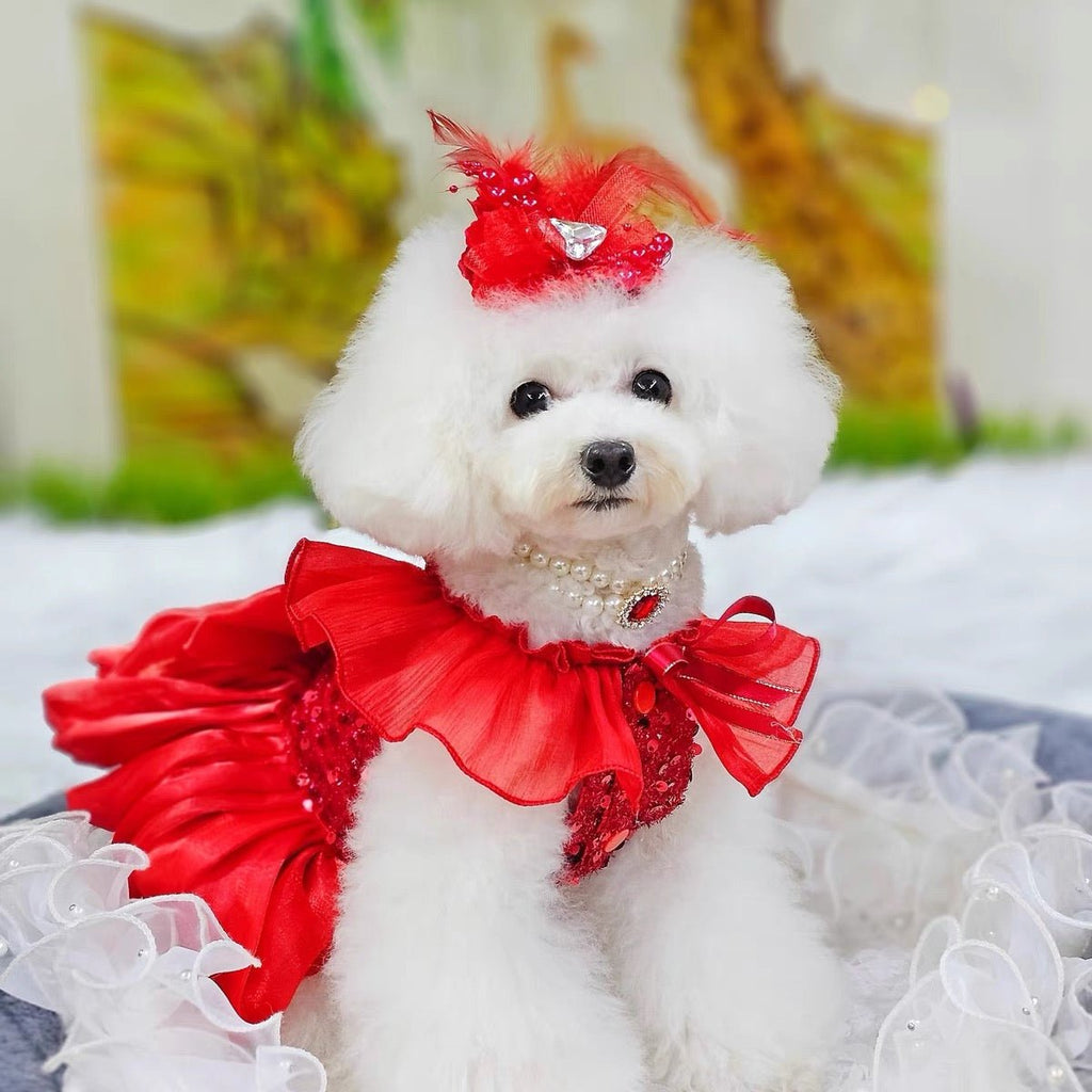 Crimson Ballgown Dog Dress | Layered Tulle Skirt | Stella & Bone