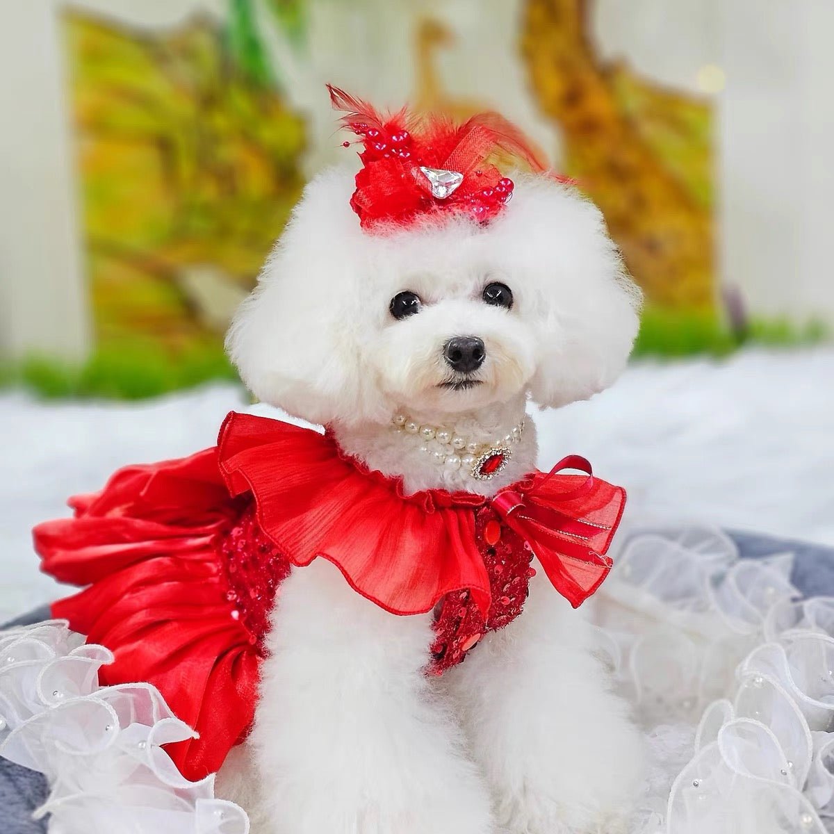 Crimson Ballgown Dog Dress | Layered Tulle Skirt | Stella & Bone