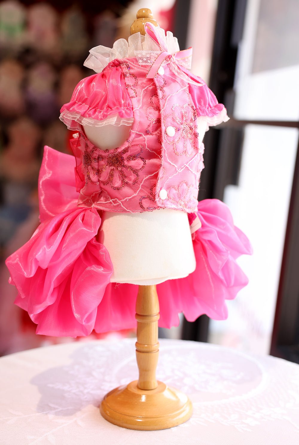 Rose Lace Party Dress | Dogs & Cats | Stella & Bone