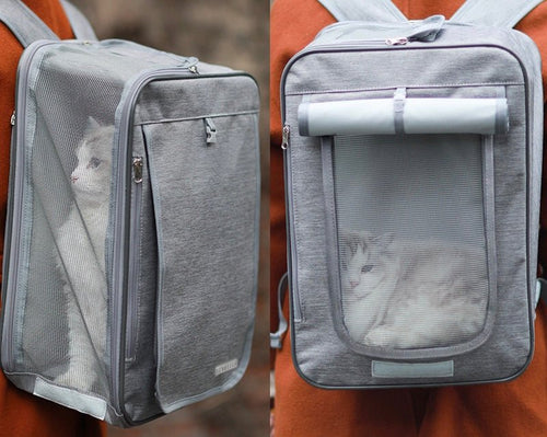 Convertible Pet Travel Backpack | Dogs & Cats | Stella & Bone