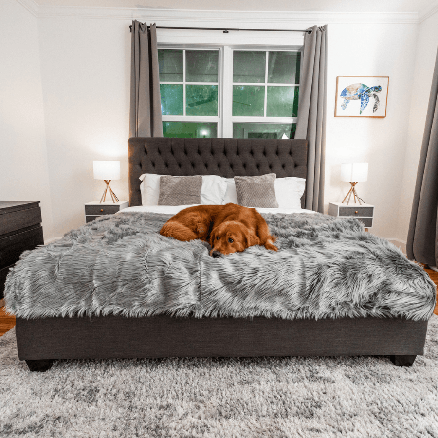 Waterproof Throw | Charcoal Grey | Dogs | Stella & Bone - Stella & Bone
