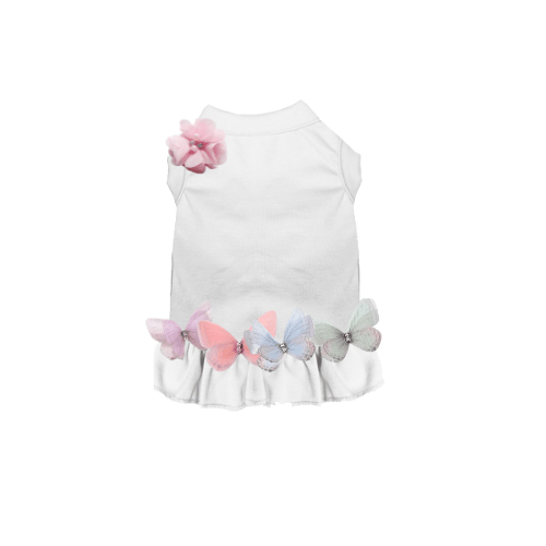 Butterfly Dream Dog Dress in white | Stella & Bone