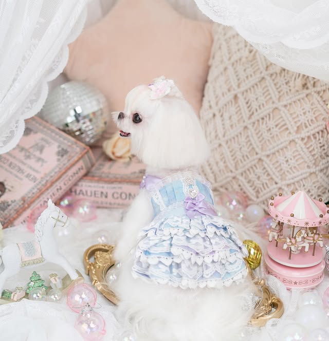 Royal Frost Ruffle Dress | Luxury Dog Clothing | Stella & Bone - Stella & Bone