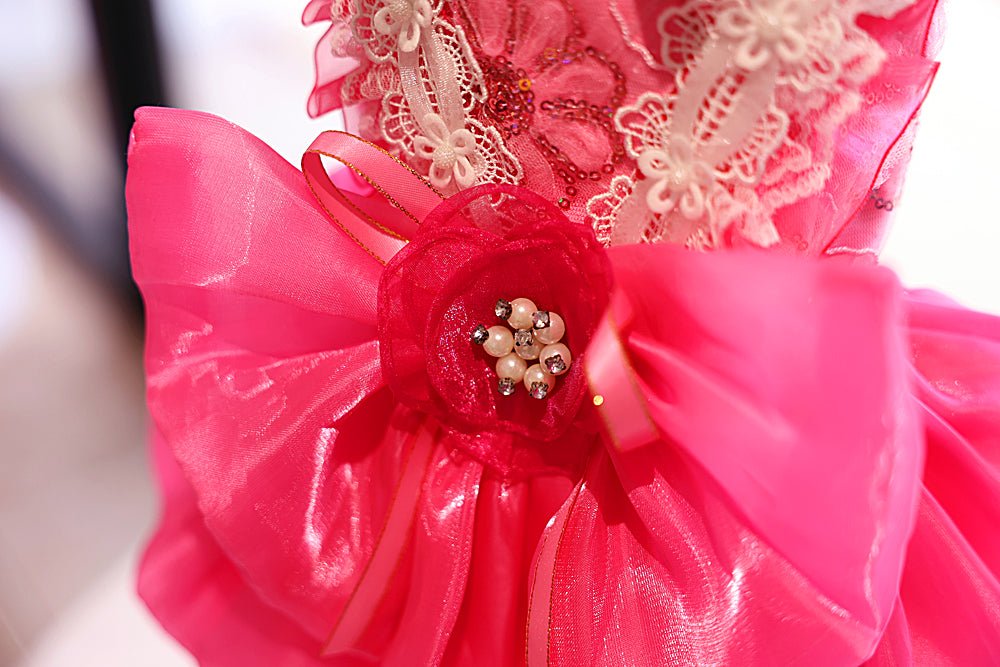 Rose Lace Party Dress | Dogs & Cats | Stella & Bone
