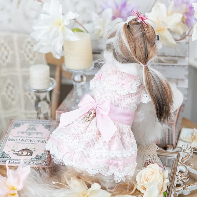 Romantic Lace Dog Dress | Elegant & Romantic | XS–XL | Stella & Bone