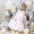 Romantic Lace Dog Dress | Elegant & Romantic | XS–XL | Stella & Bone