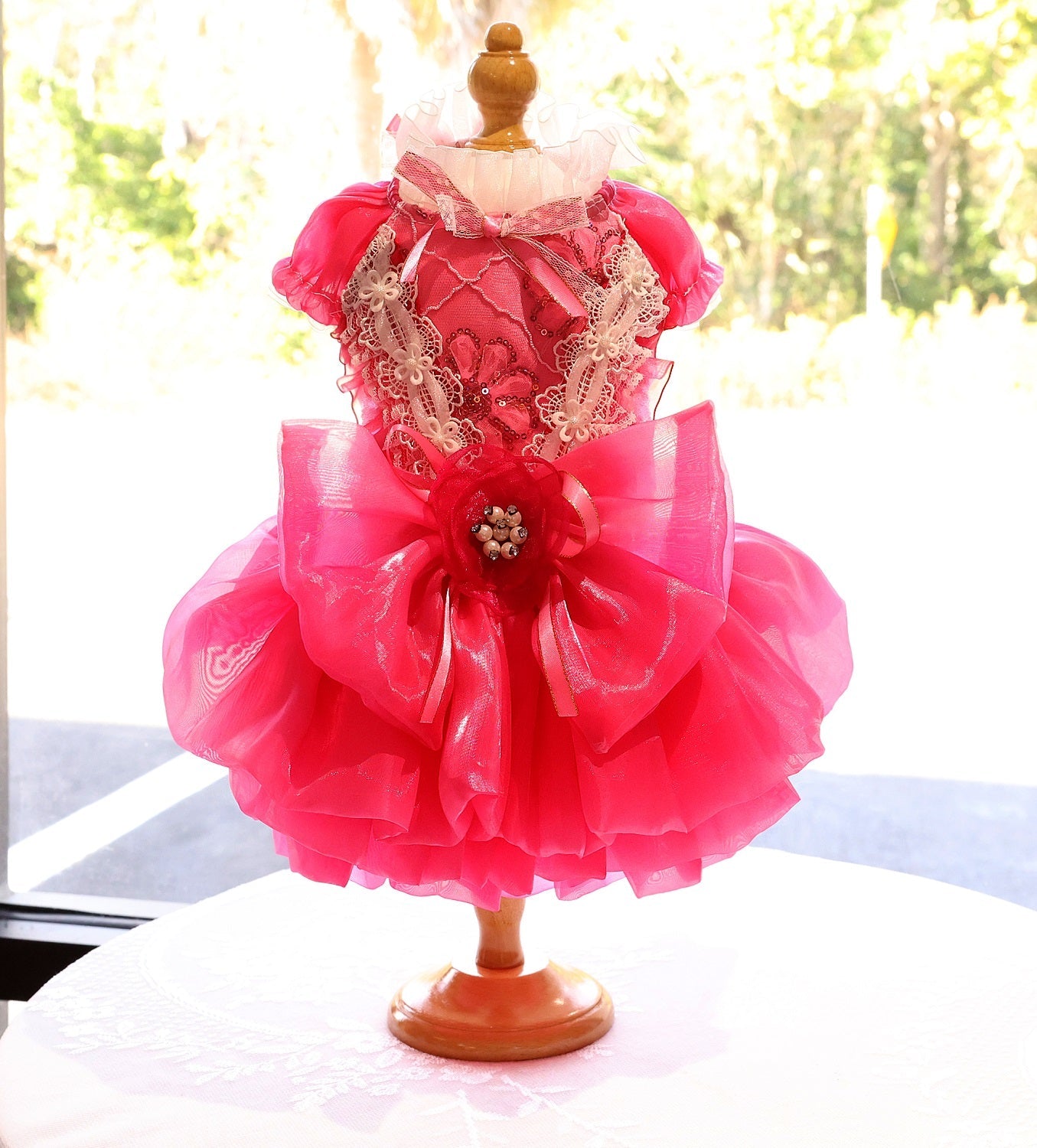 Rose Lace Party Dress | Dogs & Cats | Stella & Bone