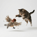 Wing & Chirp Electric Cat Toy | Motion & Chirping Sound | Stella & Bone