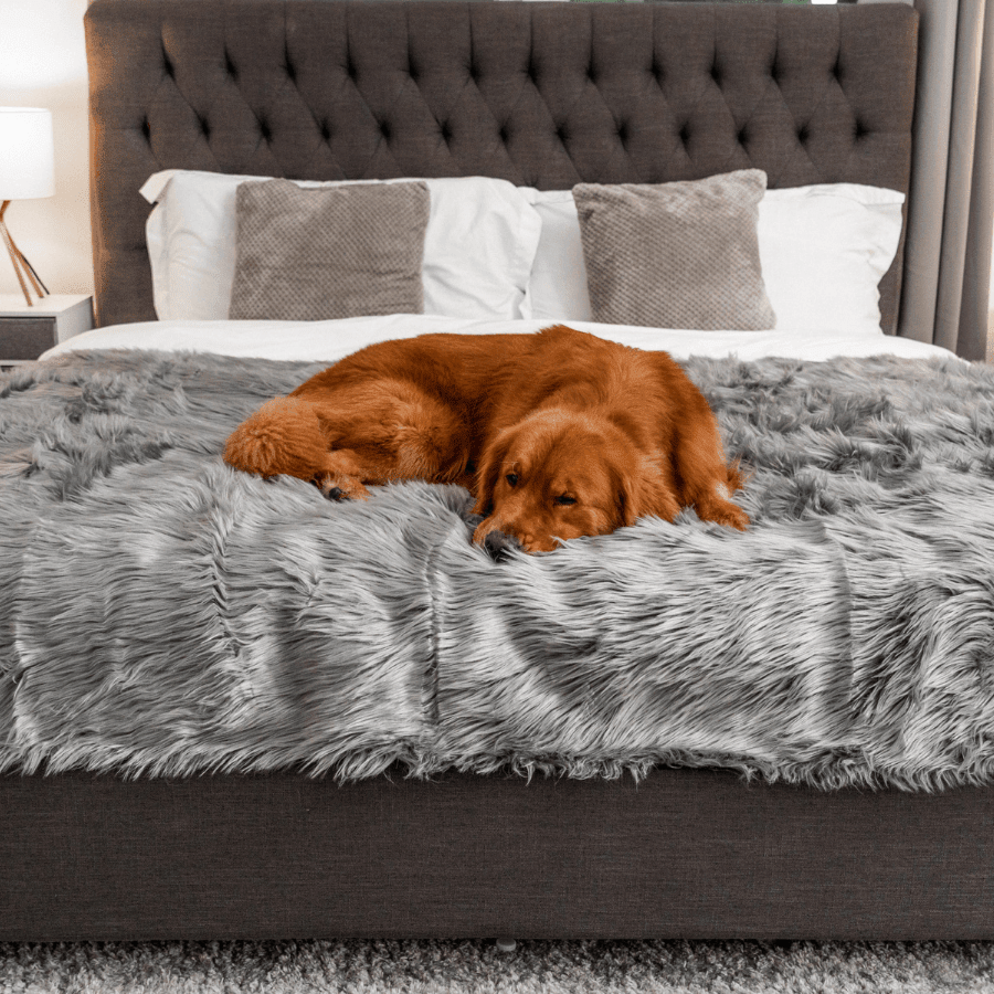 Waterproof Throw | Charcoal Grey | Dogs | Stella & Bone - Stella & Bone
