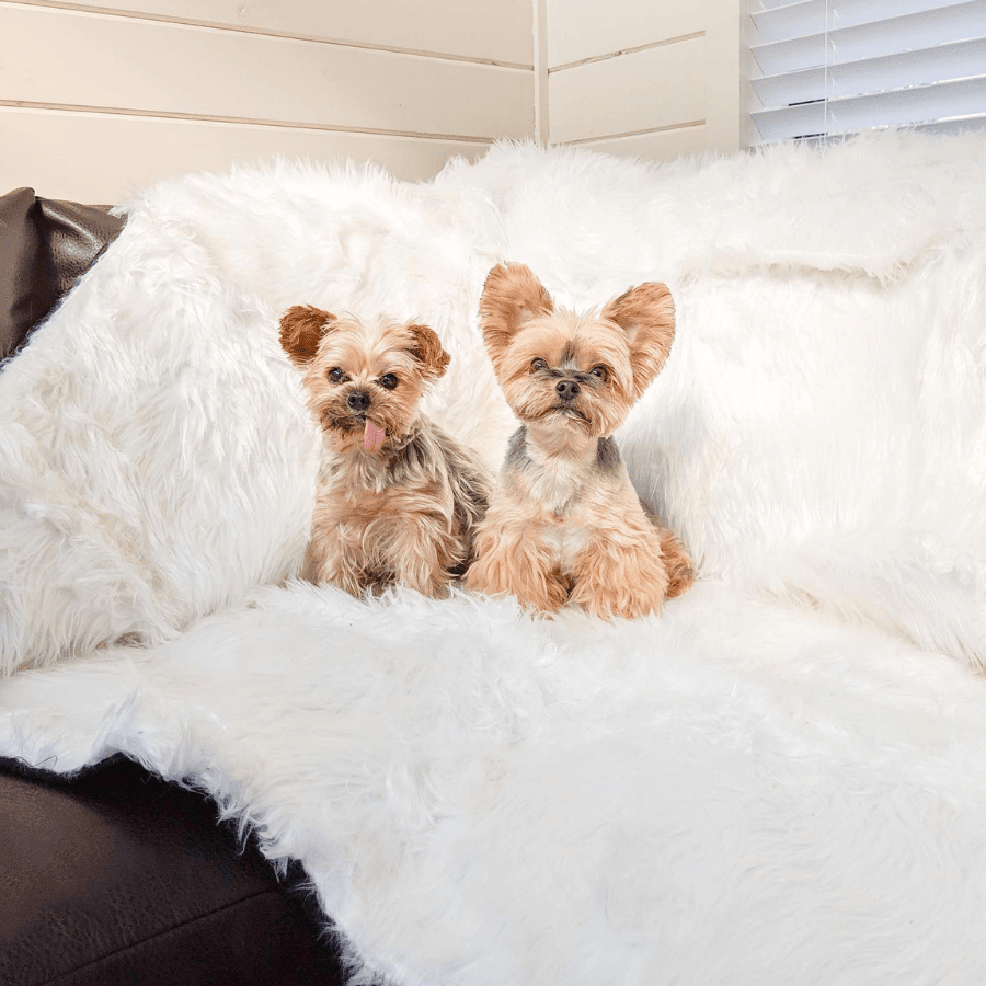 Waterproof Throw | Dogs | Stella & Bone - Stella & Bone