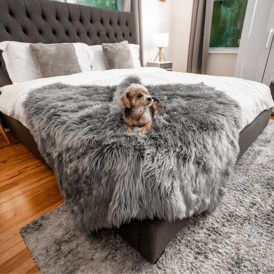 Waterproof Throw | Charcoal Grey | Dogs | Stella & Bone - Stella & Bone