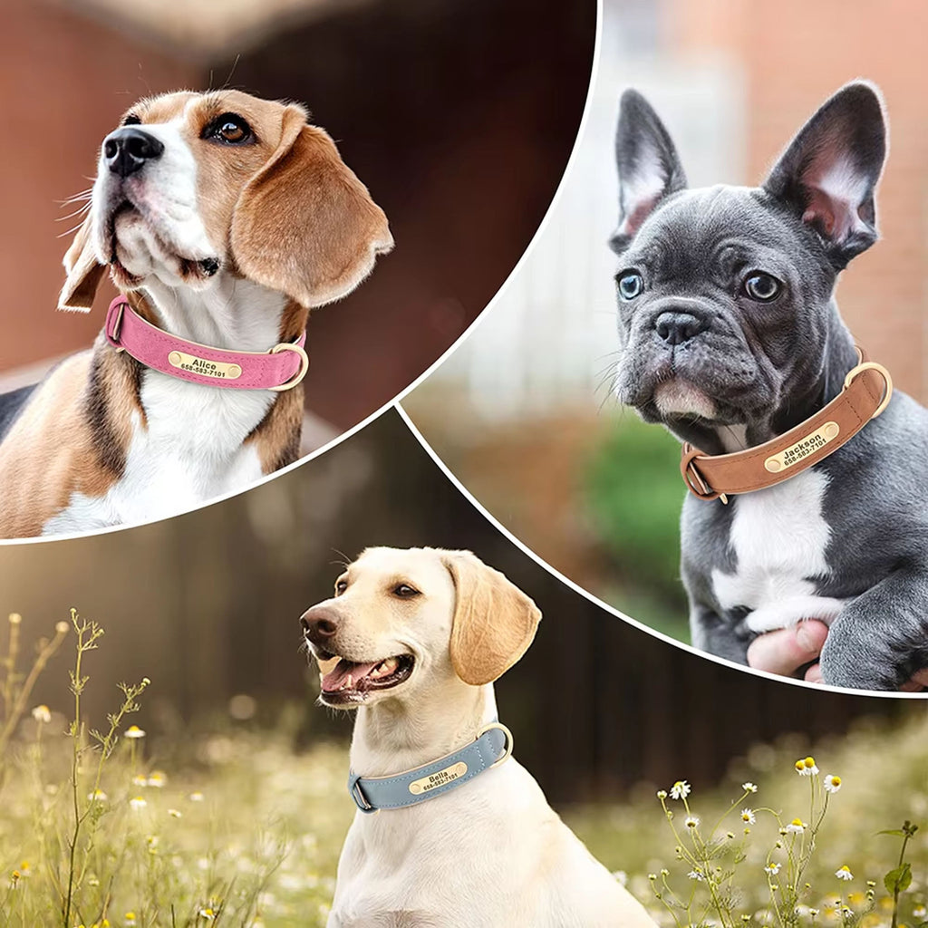 Personalized Dog Collar | Custom Engraved PU Leather | 4 Designs & 5 Sizes | Stella & Bone - Stella & Bone