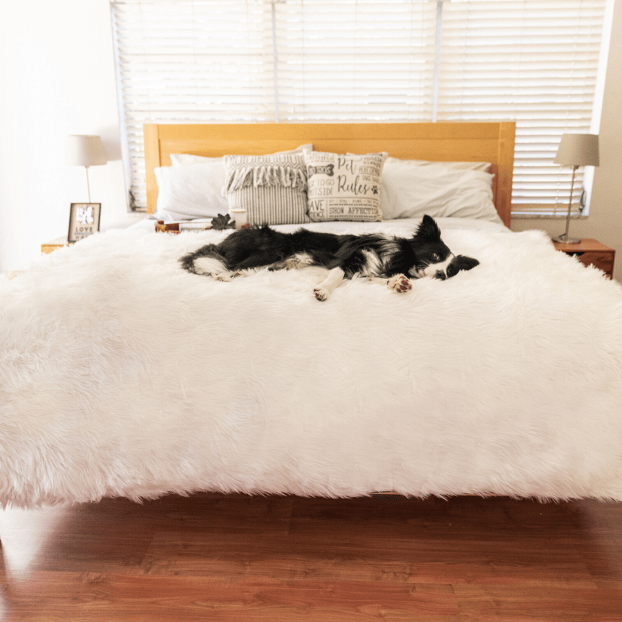 Waterproof Throw | Dogs | Stella & Bone - Stella & Bone