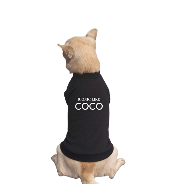 Iconic Like Coco Signature Dog Tee | Stella & Bone - Stella & Bone
