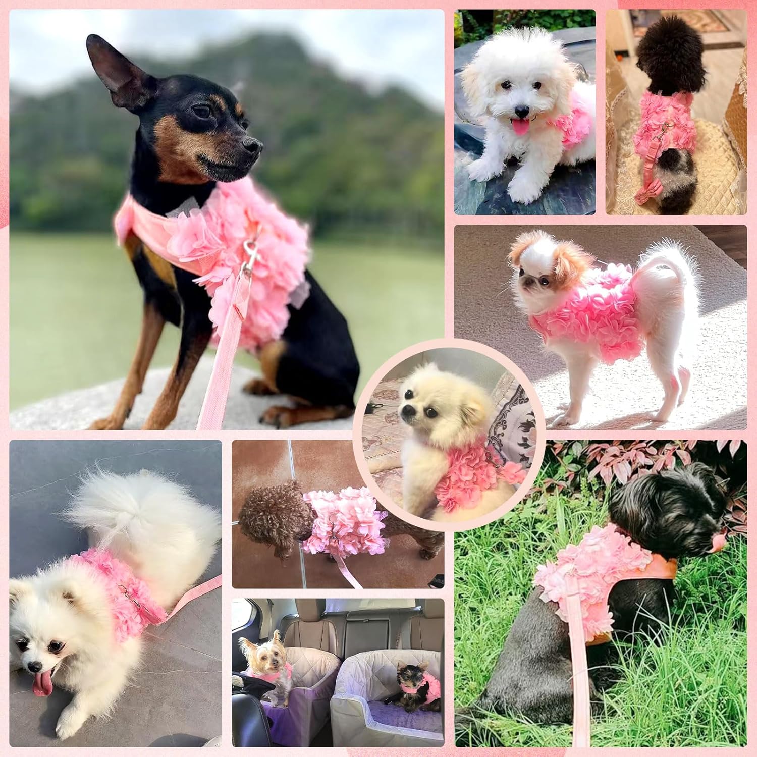 3D Floral Harness & Leash Set | Luxury Dog & Cat Accessories | Stella & Bone - Stella & Bone