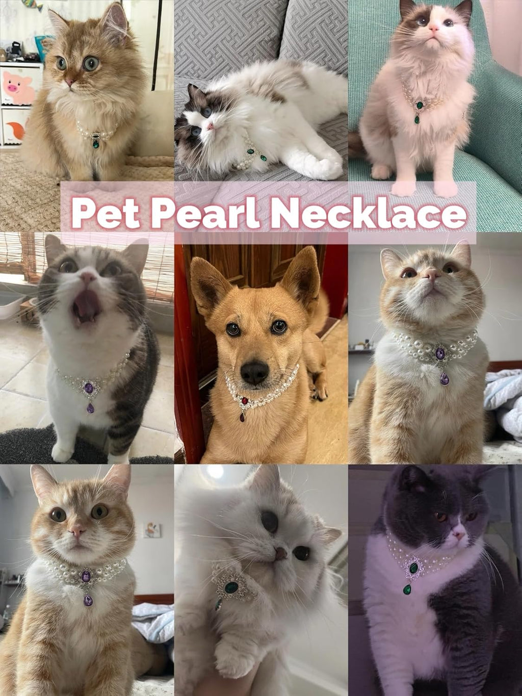 Royal Pearl Gem Pendant Pet Necklace | Luxury Dog & Cat Jewelry | Stella & Bone - Stella & Bone