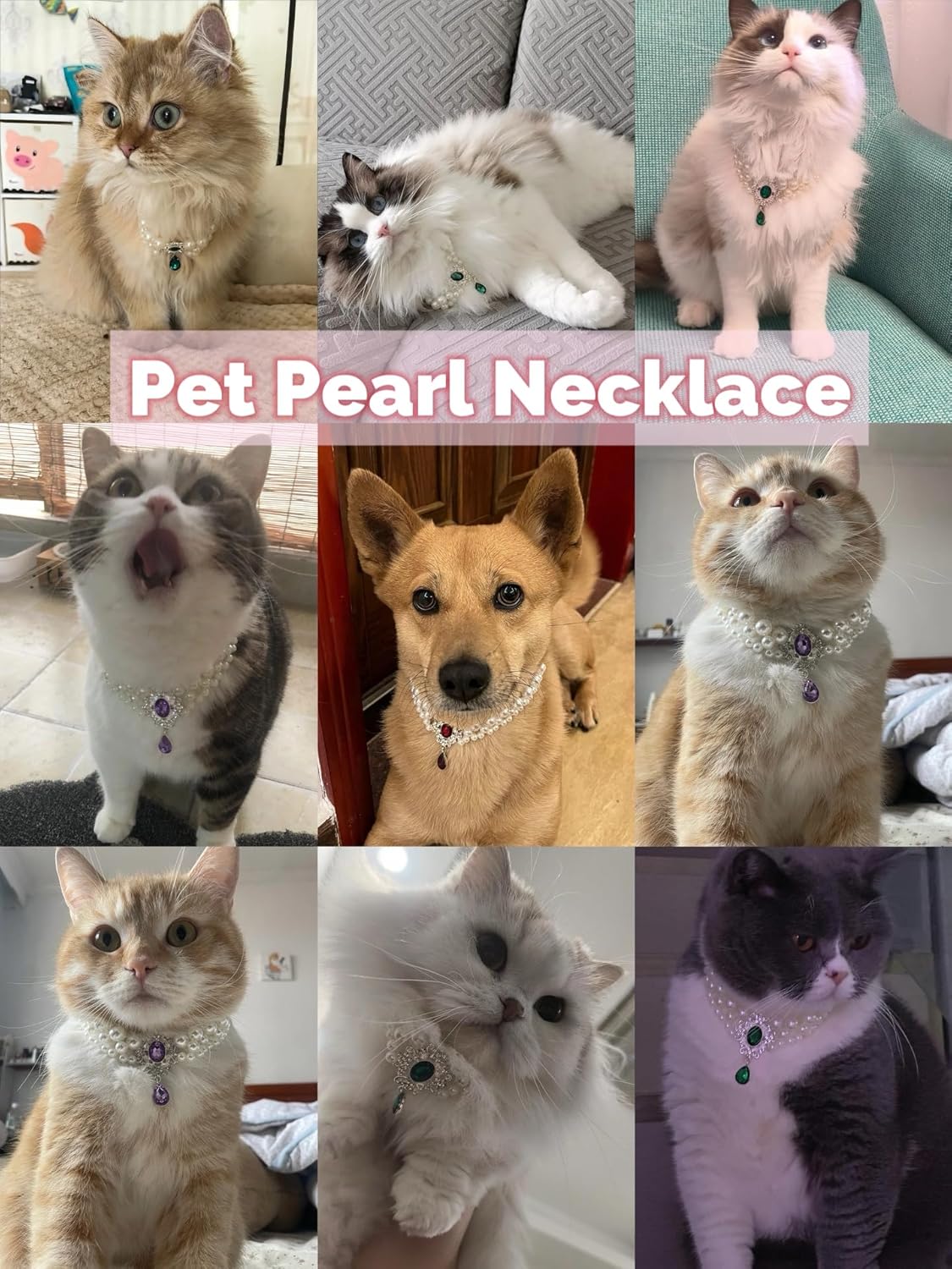 Royal Pearl Gem Pendant Pet Necklace | Luxury Dog & Cat Jewelry | Stella & Bone - Stella & Bone