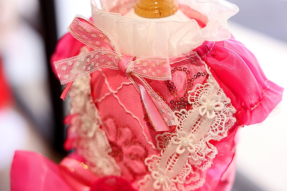Rose Lace Party Dress | Dogs & Cats | Stella & Bone