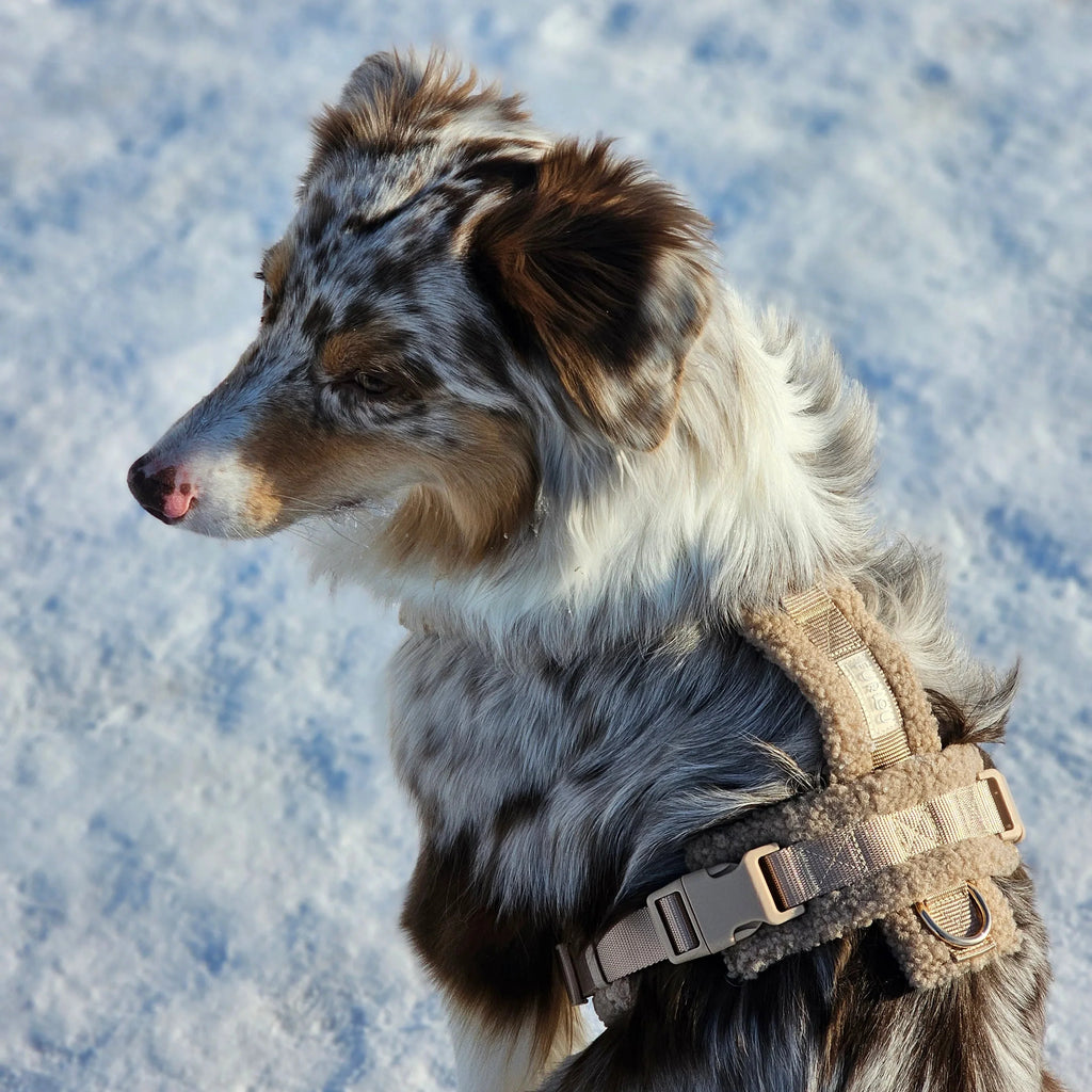 Plush Sherpa Dog Harness | Adjustable | Stella & Bone
