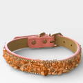 Blush Soleil Crystal Dog Collar | Stella & Bone - Stella & Bone