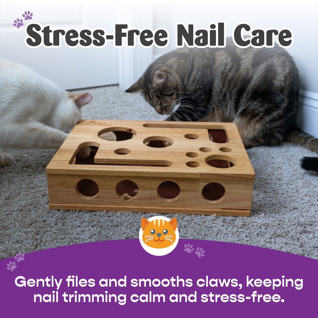 Cat Nail File Enrichment Box | Stress - Free Nail Care | Stella & Bone - Stella & Bone