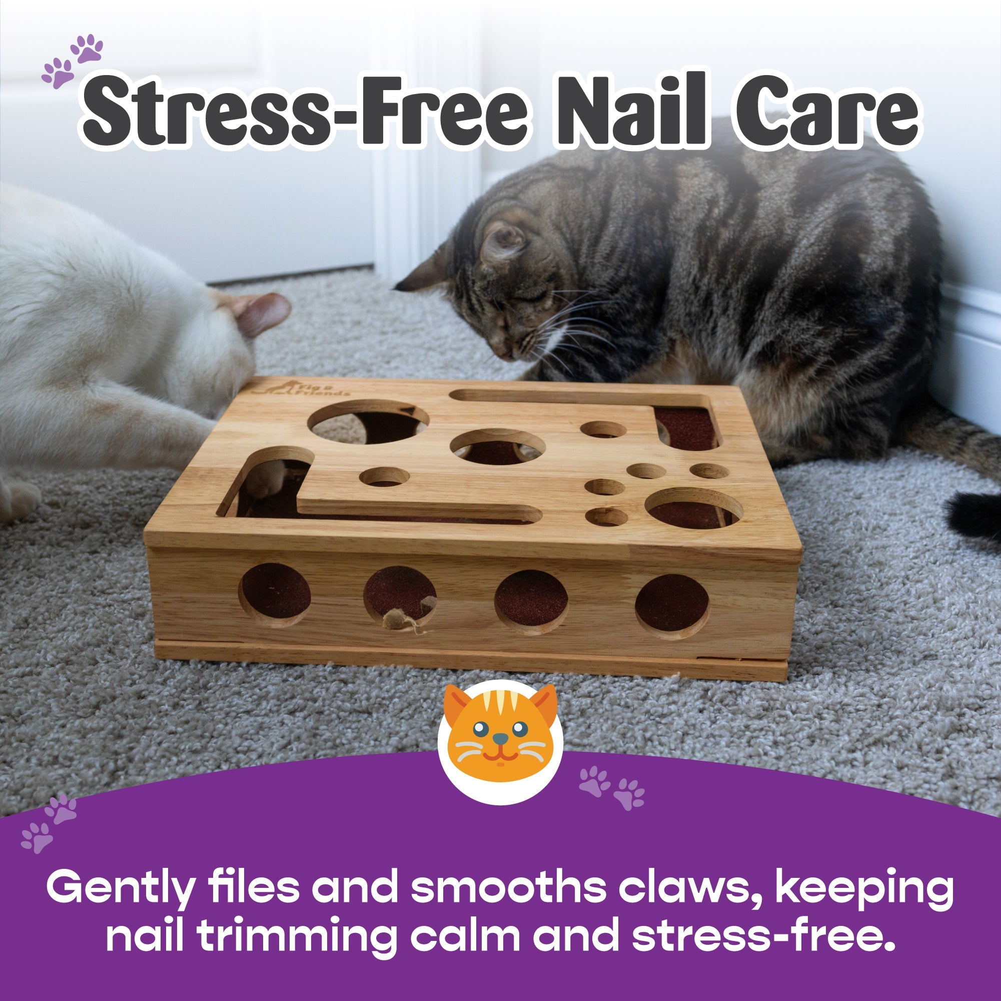 Cat Nail File Enrichment Box | Stress - Free Nail Care | Stella & Bone - Stella & Bone