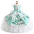 Rococo Princess Crinoline Gown | Luxury Dog Clothing | Stella & Bone - Stella & Bone