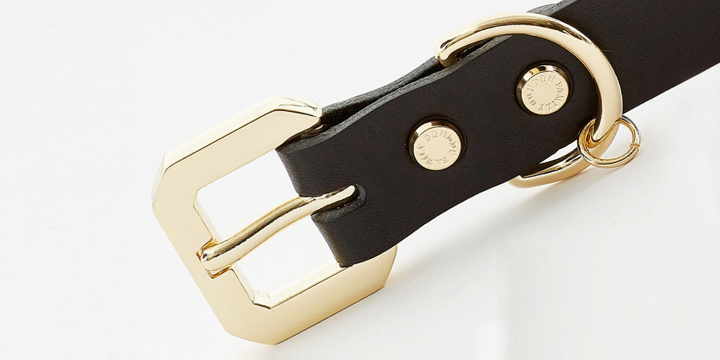 Golden Spike Leather Collar | Dogs | Stella & Bone - Stella & Bone
