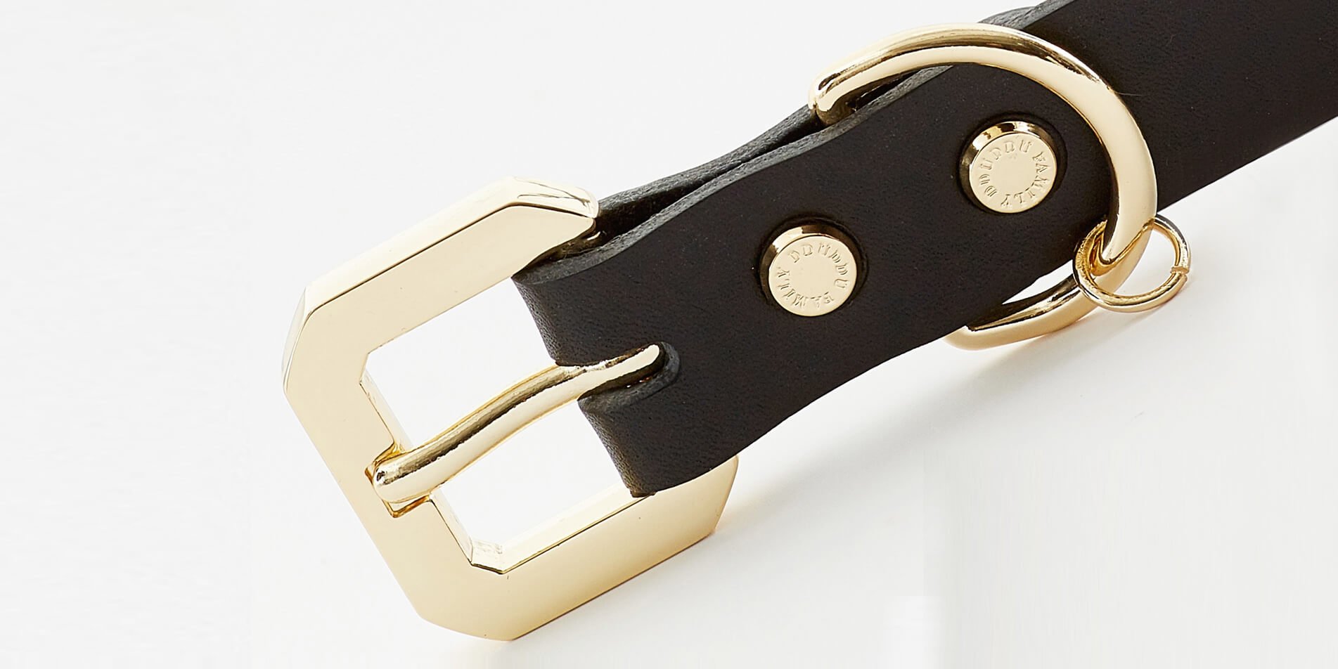 Golden Spike Leather Collar | Dogs | Stella & Bone - Stella & Bone