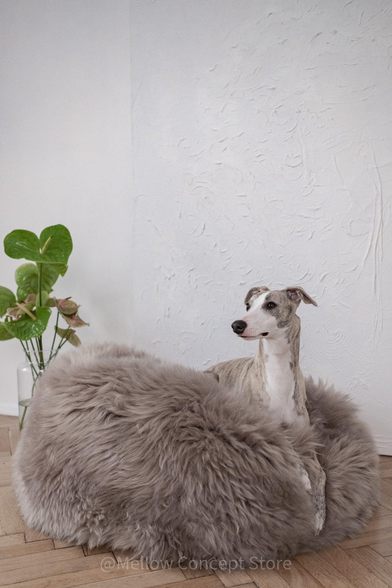 Oval Natural Sheepskin Cat Bed & Dog Bed | Greige | Stella & Bone - Stella & Bone
