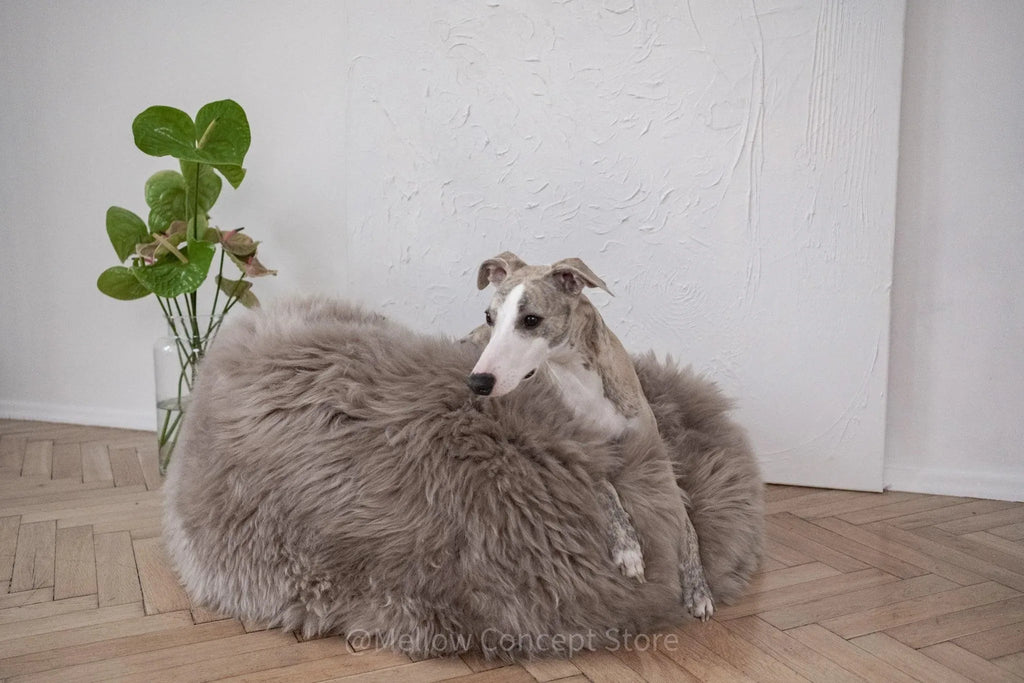 Oval Natural Sheepskin Cat Bed & Dog Bed | Greige | Stella & Bone - Stella & Bone