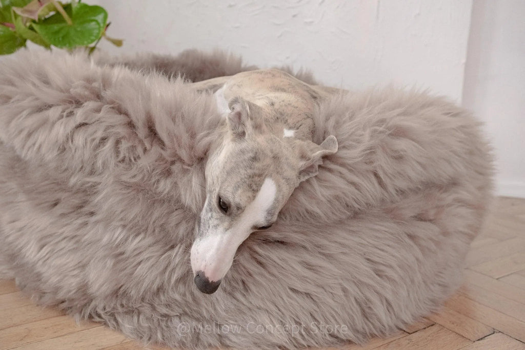 Oval Natural Sheepskin Cat Bed & Dog Bed | Greige | Stella & Bone - Stella & Bone
