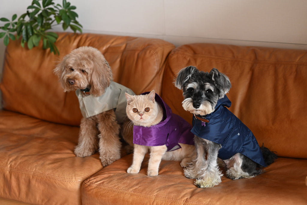 Minimalist Rain Jacket for Dogs & Cats | Beige | Dogs & Cats | Stella & Bone