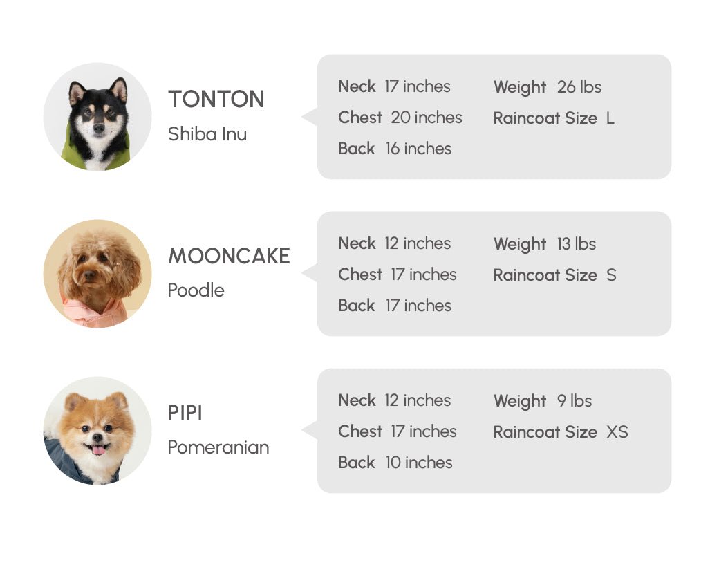 Blue Urban Rain Coat | Water - Repellant Dog Coat | Blue | Stella & Bone