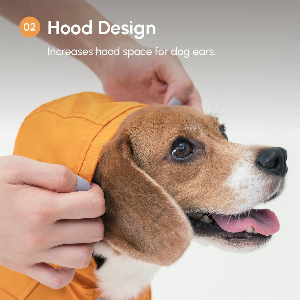 Blue Urban Rain Coat | Water - Repellant Dog Coat | Blue | Stella & Bone