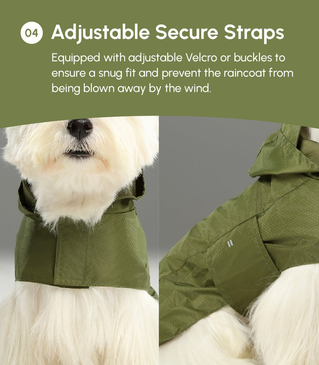 Minimalist Rain Jacket for Dogs & Cats | Beige | Dogs & Cats | Stella & Bone