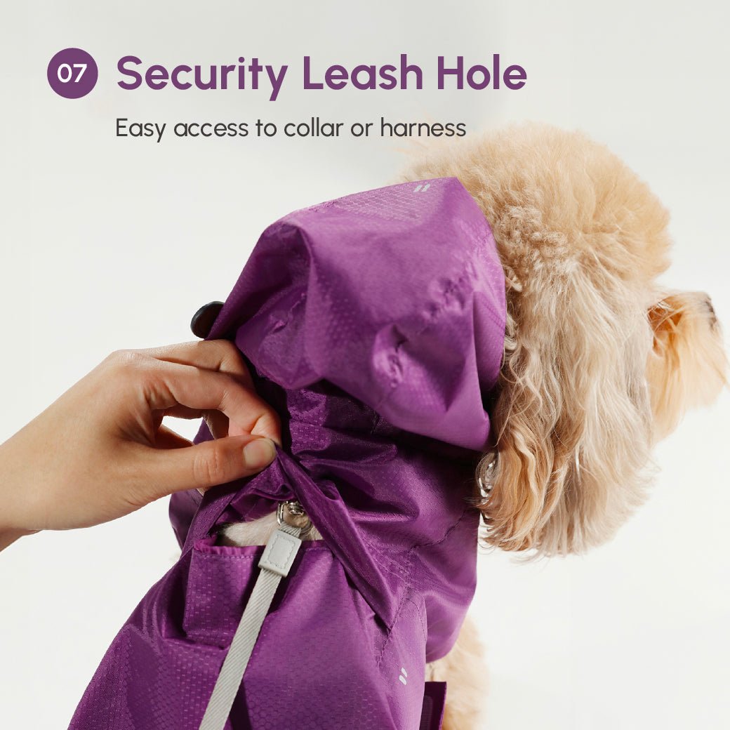 Minimalist Rain Jacket for Dogs & Cats | Beige | Dogs & Cats | Stella & Bone