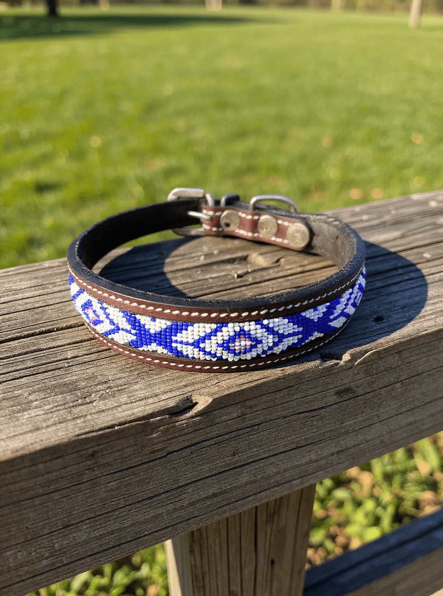Beaded Leather Dog Collar | Hand - Beaded Genuine Leather | Stella & Bone - Stella & Bone