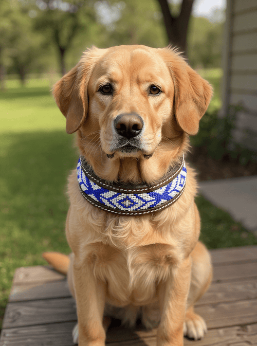 Beaded Leather Dog Collar | Hand - Beaded Genuine Leather | Stella & Bone - Stella & Bone