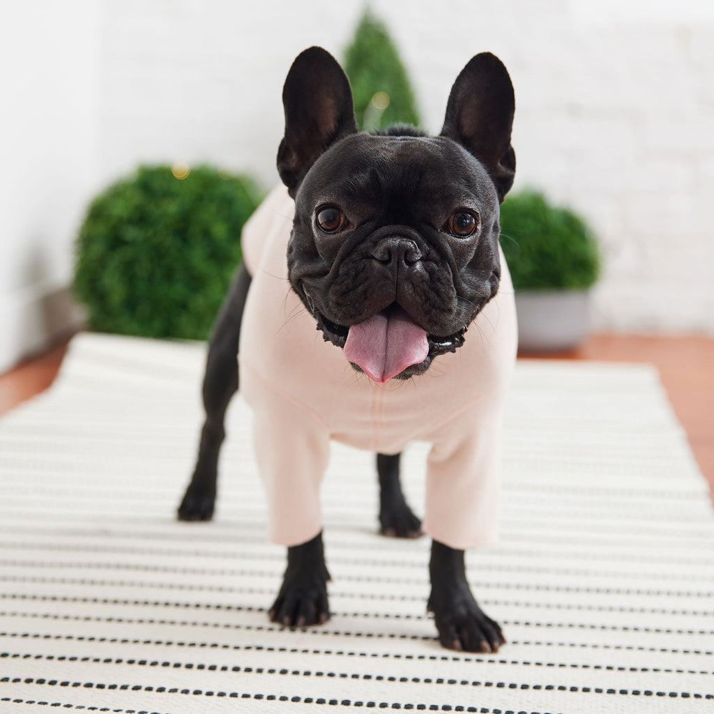 Micro Polar Fleece Base Layer | Pink | Dogs | Stella & Bone - Stella & Bone